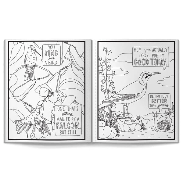 Brass Monkey Colouring Book - Salty Birds