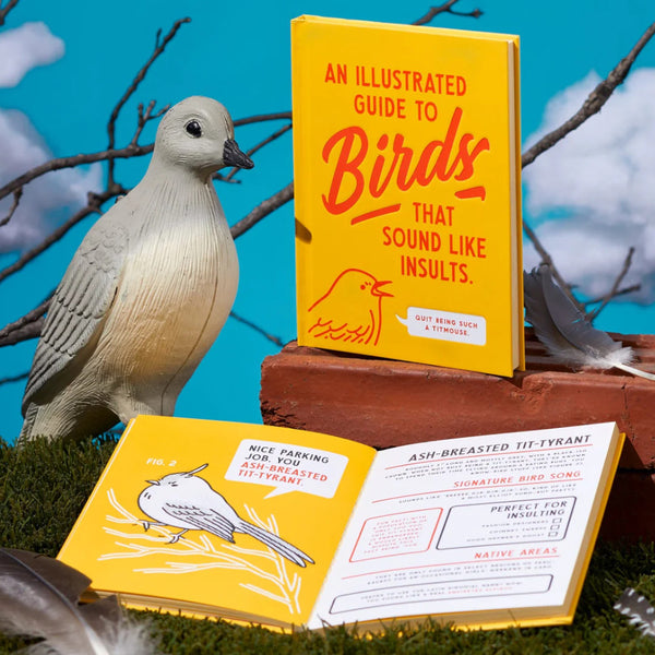 Brass Monkey An Illustrated Guide to Birds that Sound like Insults