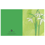 Chronicle Books 20pc Notecards & Envelopes - Flowers for Almost Any Occasion