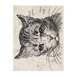 Chronicle Books 50pc Postcards - Cats of the V&A