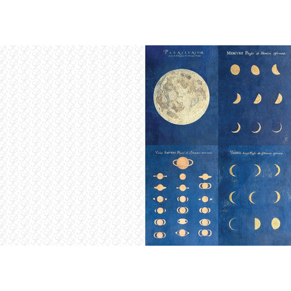 Chronicle Books The Collage Compendium: 2,000 Images to Cut Out & Collage