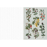 Chronicle Books The Collage Compendium: 2,000 Images to Cut Out & Collage