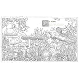 Quadrille Colouring Book - Into the Fungarium