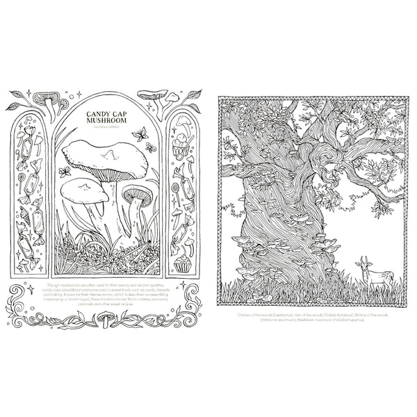 Quadrille Colouring Book - Into the Fungarium