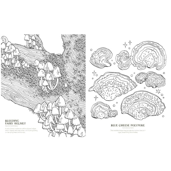 Quadrille Colouring Book - Into the Fungarium