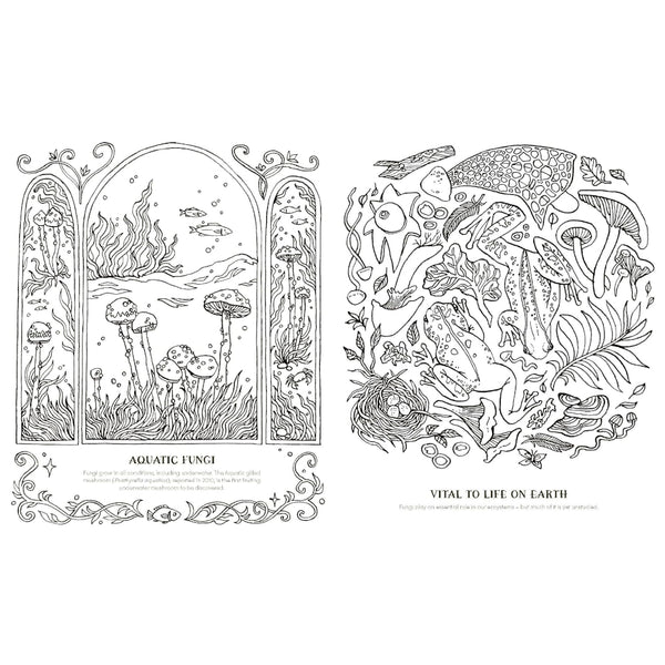Quadrille Colouring Book - Into the Fungarium