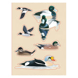 Sibley Birding Sticker Book Bird By David Allen Sibley
