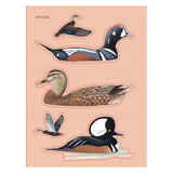 Sibley Birding Sticker Book Bird By David Allen Sibley