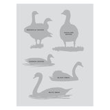 Sibley Birding Sticker Book Bird By David Allen Sibley