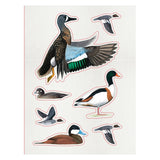 Sibley Birding Sticker Book Bird By David Allen Sibley