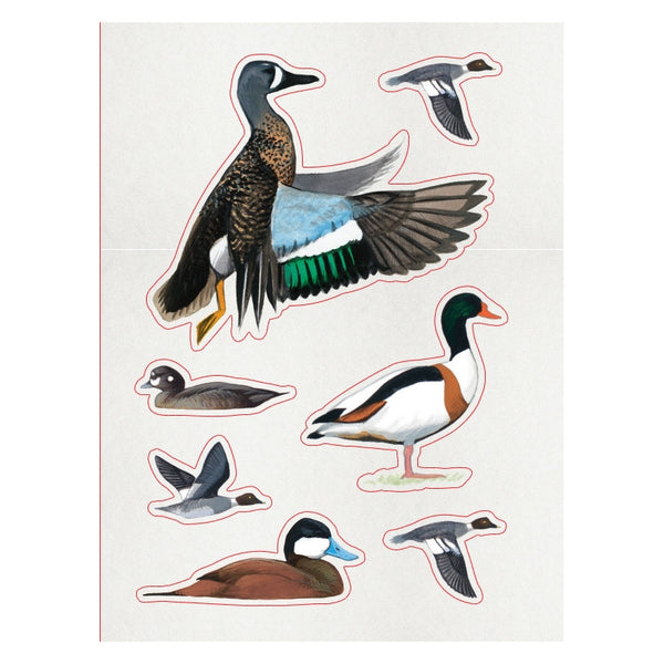Sibley Birding Sticker Book Bird By David Allen Sibley