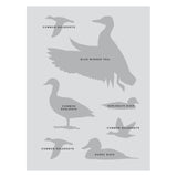 Sibley Birding Sticker Book Bird By David Allen Sibley