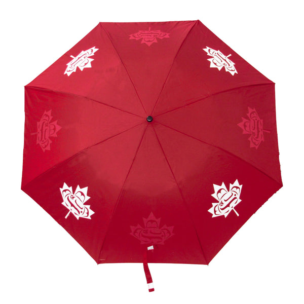 Oscardo Collapsible Umbrella - Curtis Wilson: Standing Together