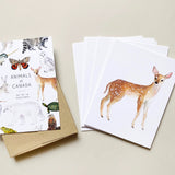 Emilie Simpson Art & Design Animals of Canada Postcard Set, 16pk