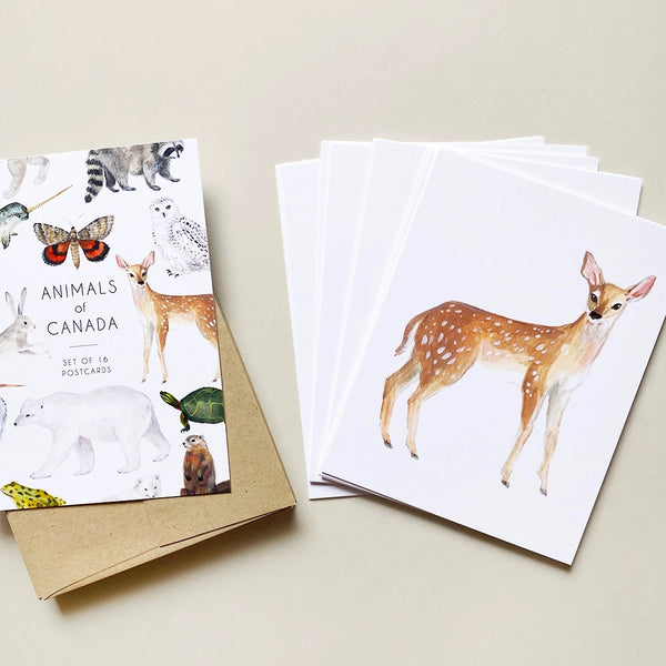 Emilie Simpson Art & Design Animals of Canada Postcard Set, 16pk