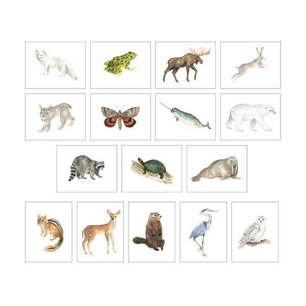 Emilie Simpson Art & Design Animals of Canada Postcard Set, 16pk