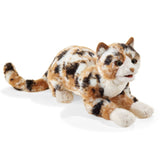 Folkmanis Hand Puppet - Calico Cat