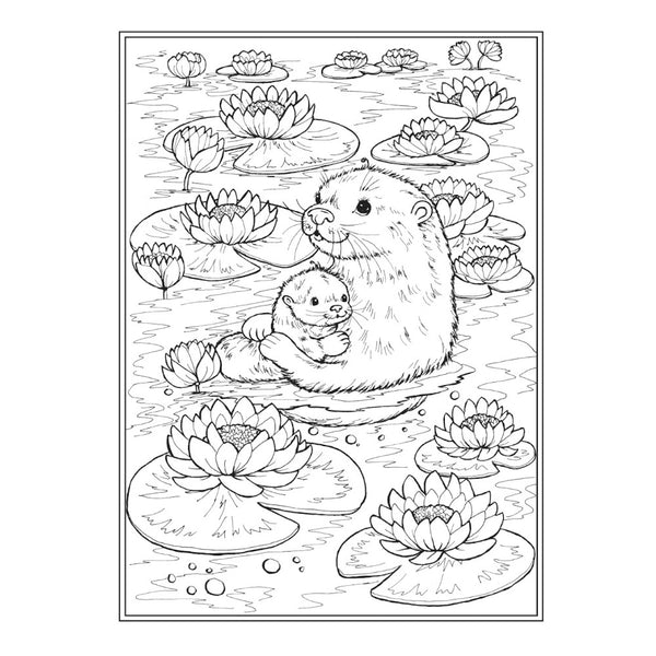 Creative Haven Colouring Book - Otterly Adorable