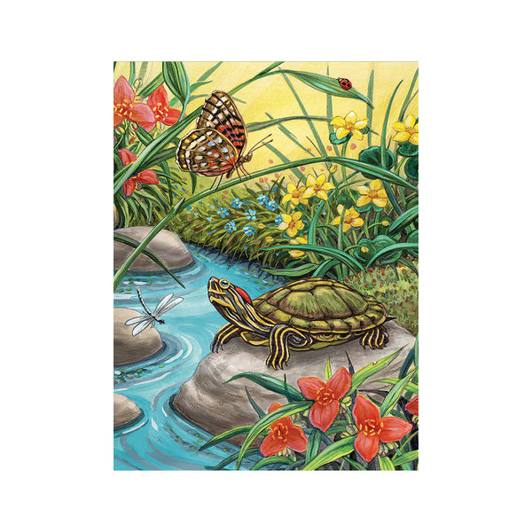 Royal & Langnickel Paint by Numbers - Red Eared Slider
