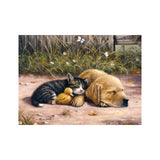 Royal & Langnickel Paint by Numbers - Sleepy Days