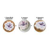 Native Northwest Eco Sponge - Fruit Salad