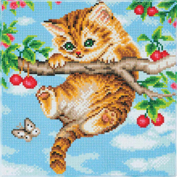 Craft Buddy DIY Crystal Art Mounted Kit, Medium - Cherry Kitten