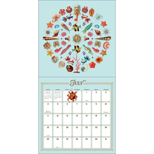 The Antiquarian 2027 Wall Calendar and Sticker Book