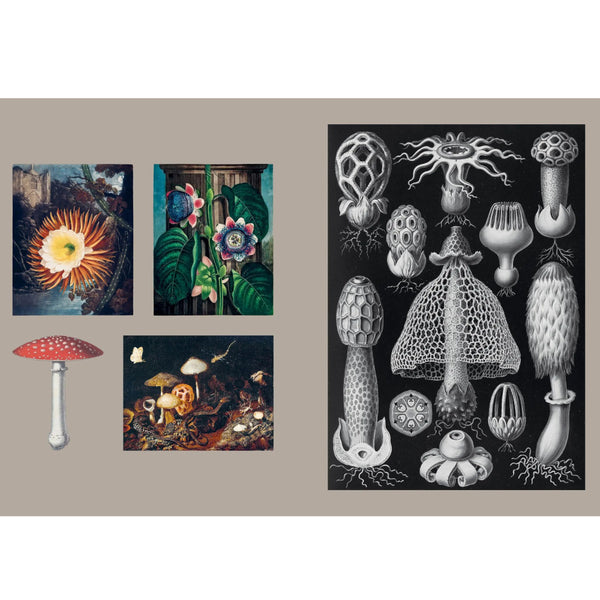 Gothica Sticker Book: 400+ Mysterious & Mystical Stickers