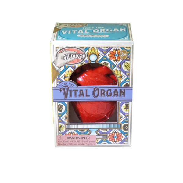Toysmith Tiny Toys Teeny Tiny Squishy - Vital Organ, Heart
