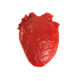 Toysmith Tiny Toys Teeny Tiny Squishy - Vital Organ, Heart