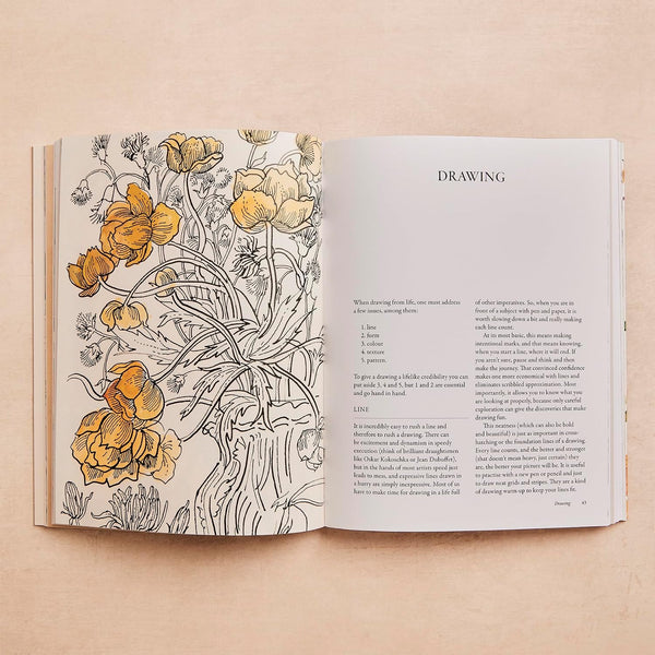 Ilex Press - How to Look, Draw & Paint by Matthew Rice