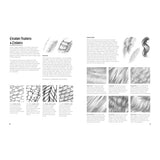 Walter Foster THE SECRET LIVES OF DRAGONS AND OTHER MYTHICAL CREATURES: And How to Draw Them Book