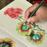 John Derian Colouring Book: Flowers