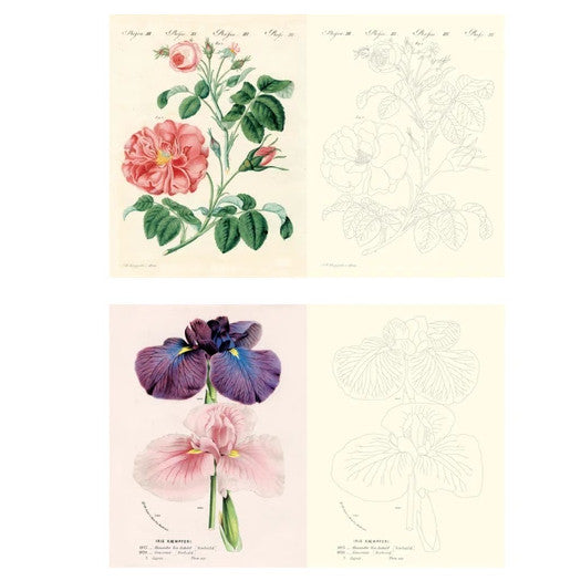 John Derian Colouring Book: Flowers