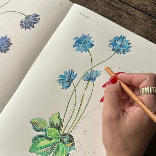 John Derian Colouring Book: Flowers