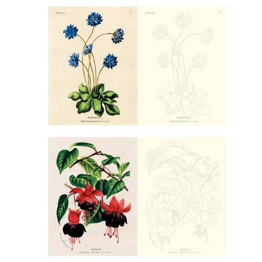 John Derian Colouring Book: Flowers