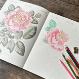 John Derian Colouring Book: Flowers
