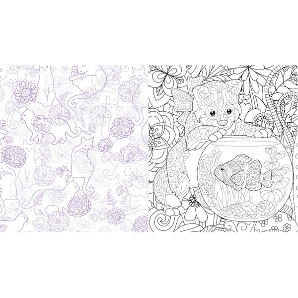 Chartwell Cute Kittens Everywhere Colouring Book