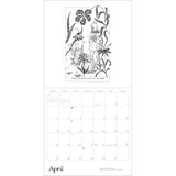 Pomegranate 2027 Wall Calendar - Edward Gorey