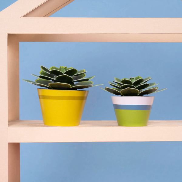 Clockwork Soldier Mini Paper Plant Kit - Soothing Succulent