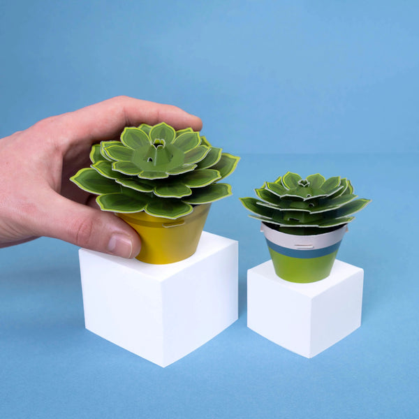 Clockwork Soldier Mini Paper Plant Kit - Soothing Succulent