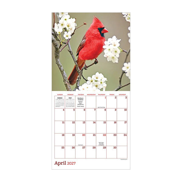 TF Publishing 2027 Mini Calendar - Backyard Birds