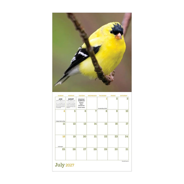 TF Publishing 2027 Mini Calendar - Backyard Birds