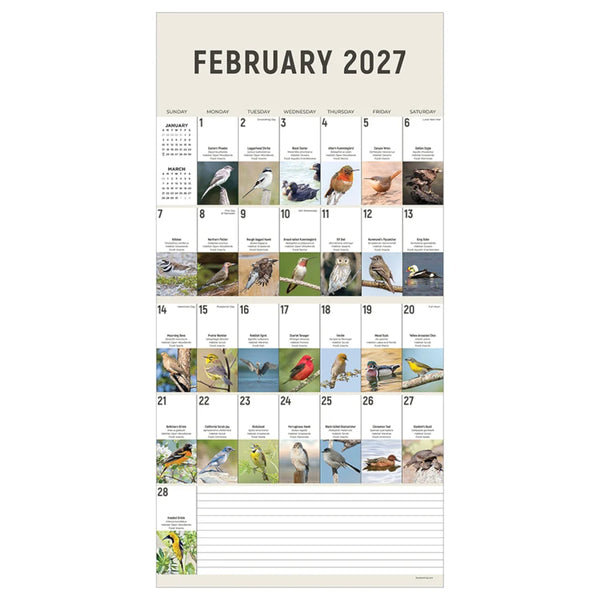 TF Publishing 2027 Wall Calendar - Birds: Backyard and Beyond