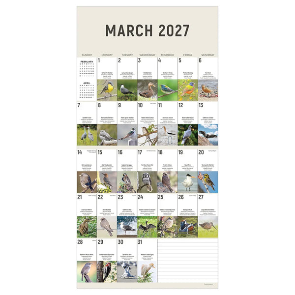 TF Publishing 2027 Wall Calendar - Birds: Backyard and Beyond