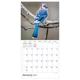 TF Publishing 2027 Wall Calendar - Backyard Birds