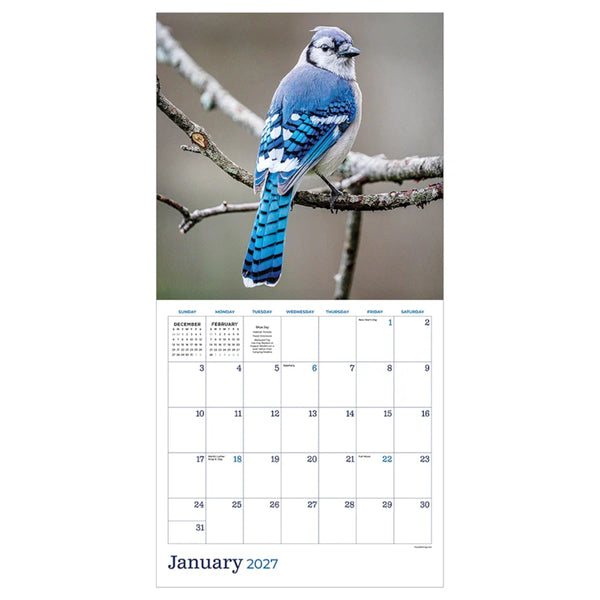 TF Publishing 2027 Wall Calendar - Backyard Birds