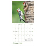 TF Publishing 2027 Wall Calendar - Backyard Birds