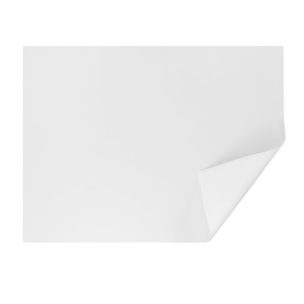 Pacific Arc Vellum Sheet 18"x24"