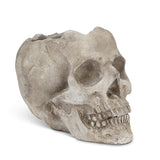 Abbott Cement Planter - Large Skull